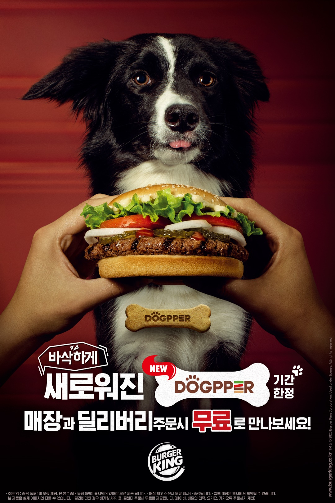 버거킹 독퍼 관련 이미지 [제공=한국버거킹]