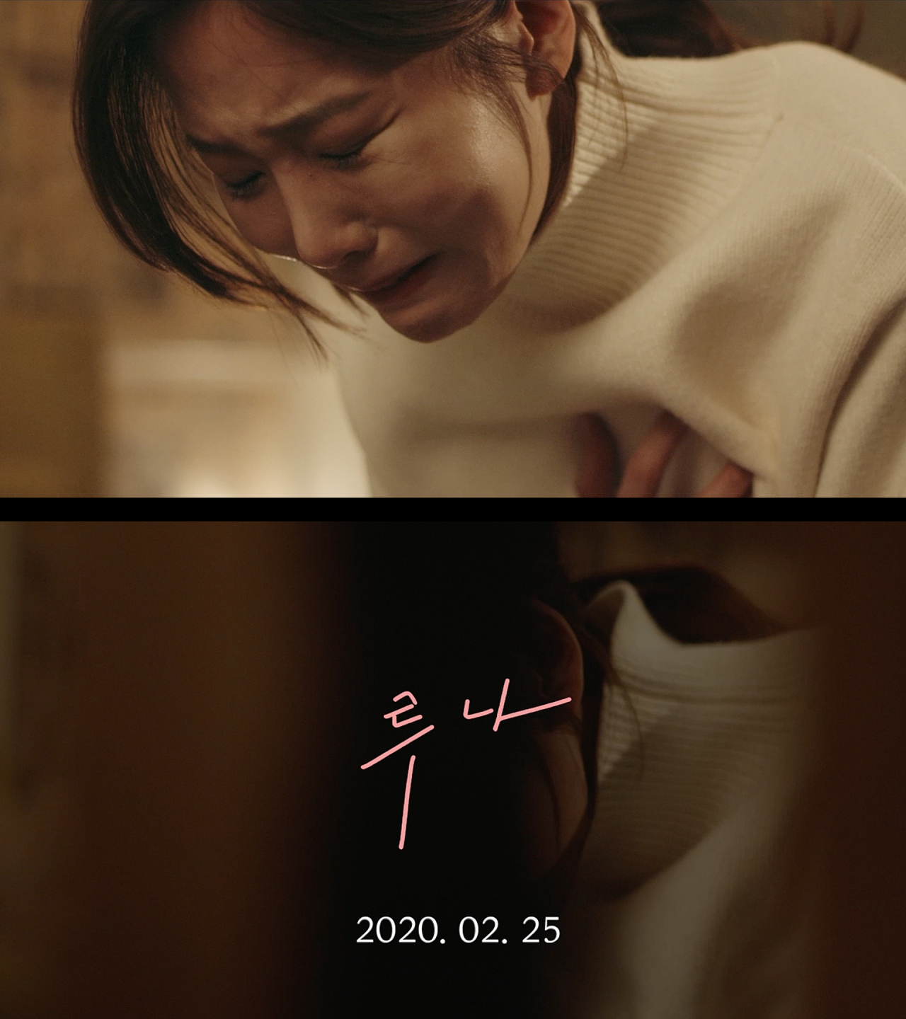 [플렉스엠 제공]