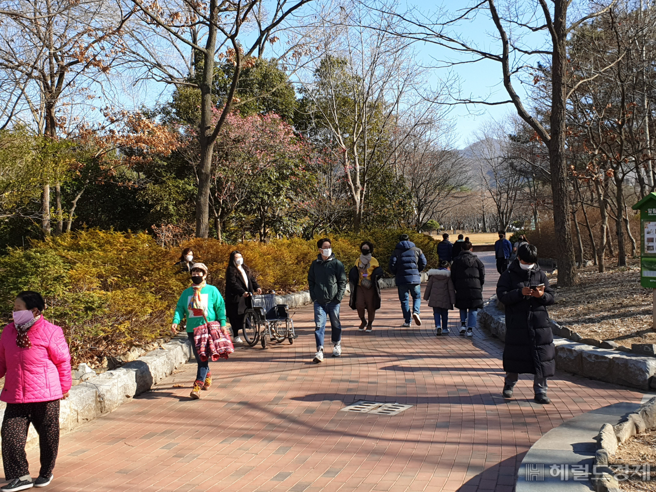 23일 오후 삼삼오오 대구수목원을 찾은 대구시민들.[사진=김병진기자]