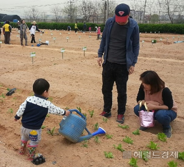 텃밭농장에서 즐거운 시간을 보내고 있는 주민들. [강서구 제공]