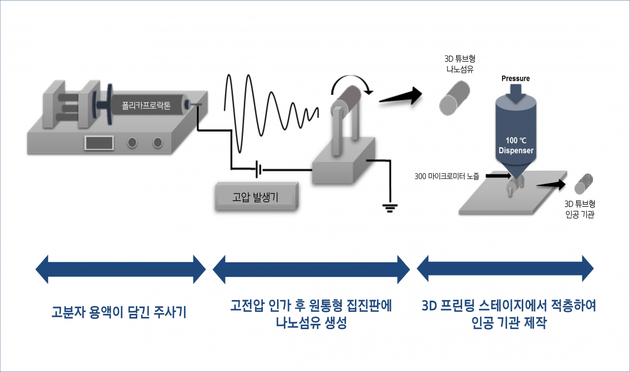 3D 튜브형 인공기관 제작공정 모식도.[한국기계연구원 제공]