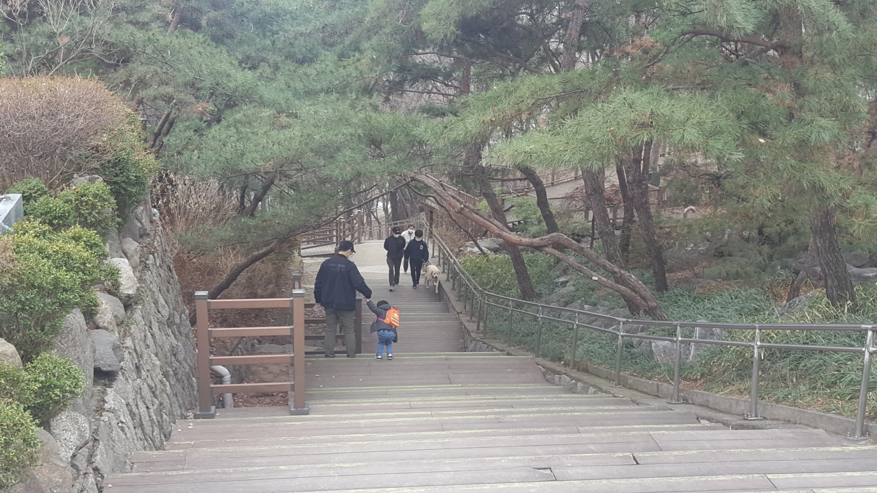 숭인1동 주민들이 숭인공원에서 아이와 산책을 하거나 개를 데리고 나와 산책을 하고 있다.