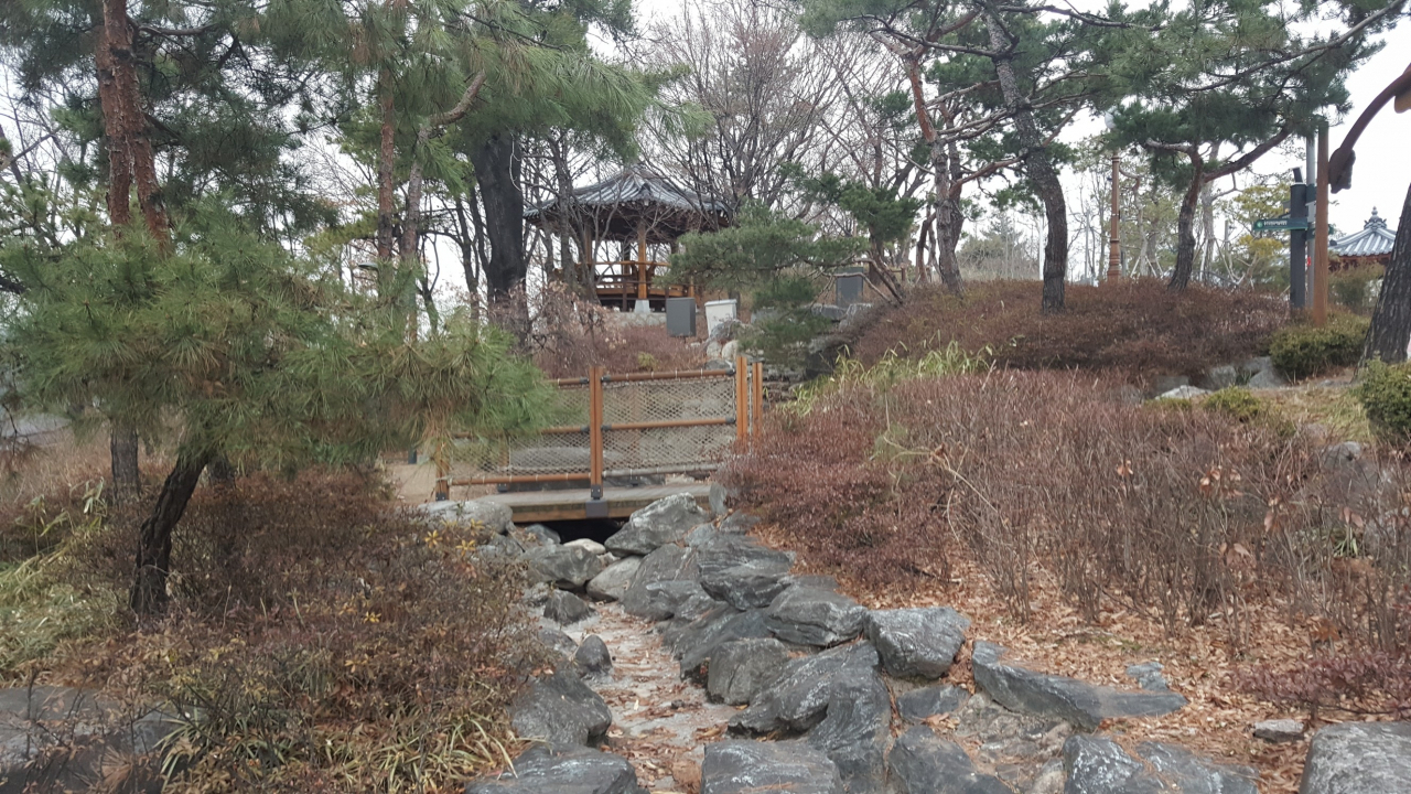 숭인공원 유아숲체험장에서 바라본 인공 개울. 여름에는 물을 흘려보내 숲속 계곡을 느낌을 준다.