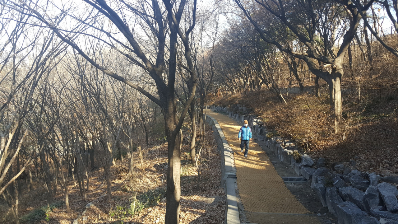 숭인 공원 안에 있는 산책길. 숭인동과 보문동의 많은 주민들이 건강을 위해 이곳에서 산책을 한다.