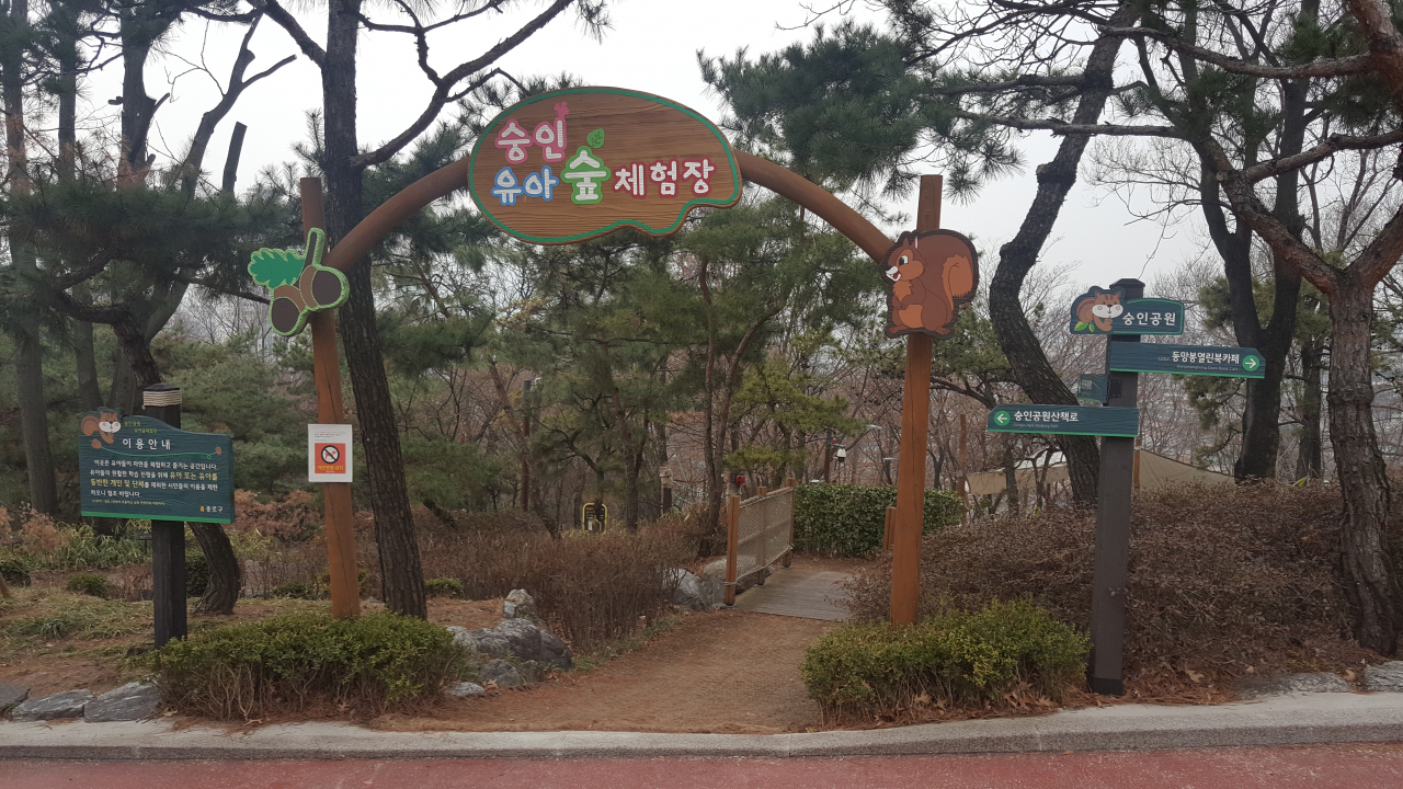 2017년 개장한 유아숲체험장 입구. 2019년 한해 9,250명이 이용했다.