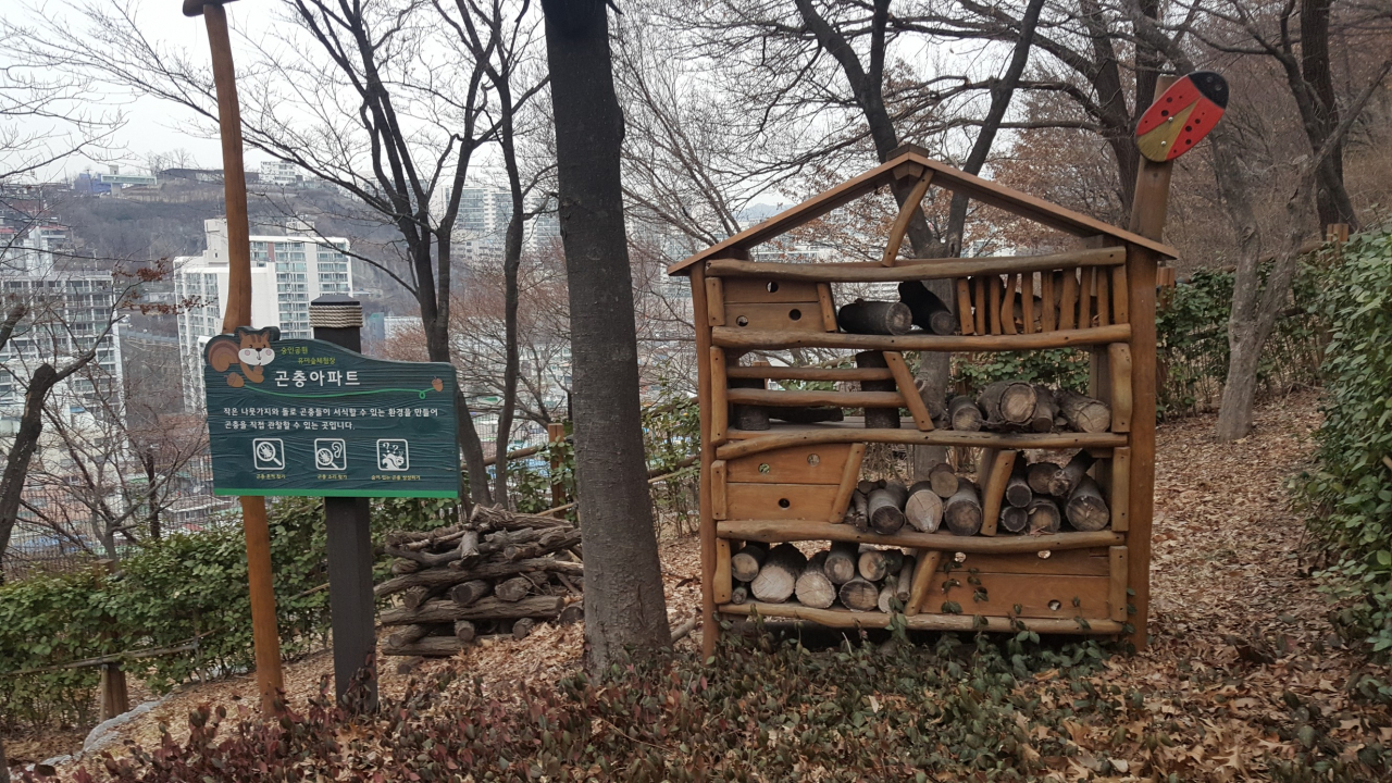 유아숲체험장 '곤충아파트'