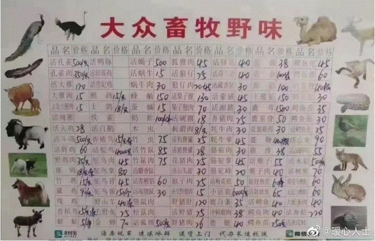중국 웨이보에 올라온 우한 수산물도매시장의 야생동물 거래 가게의 차림표