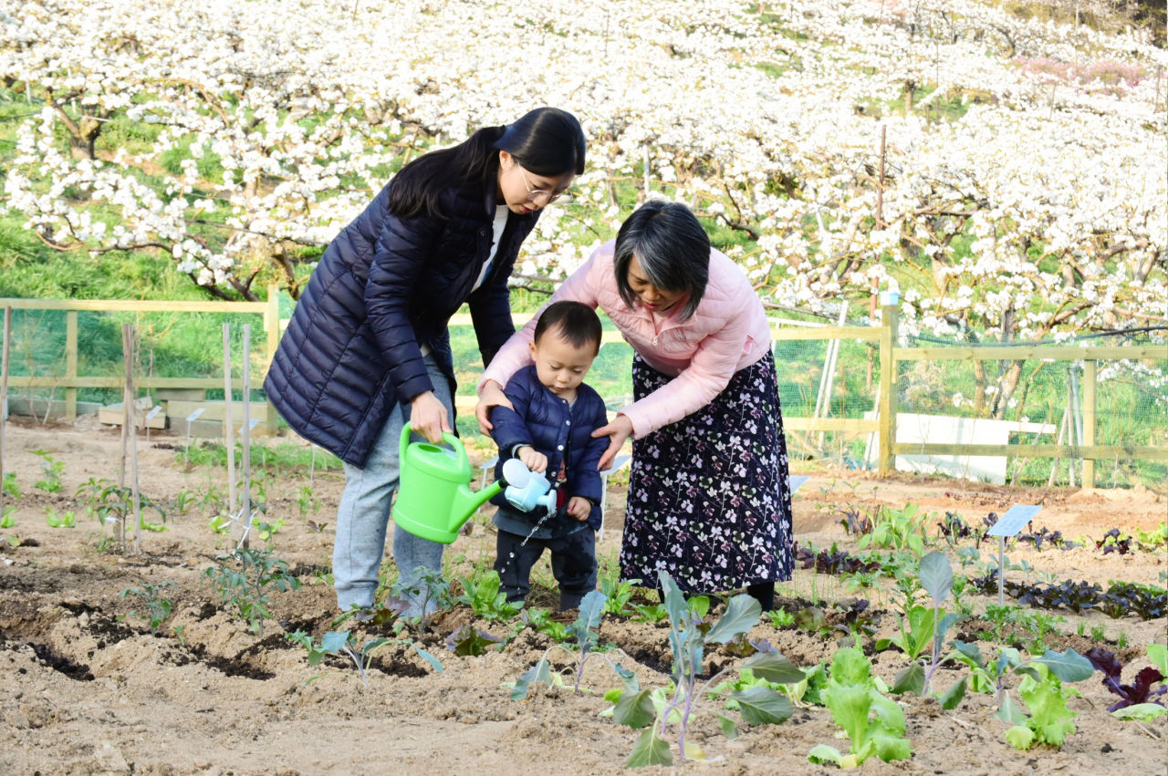중랑행복농장에서 가족이 분양 받은 농장을 가꾸고 있다. [중랑구 제공]