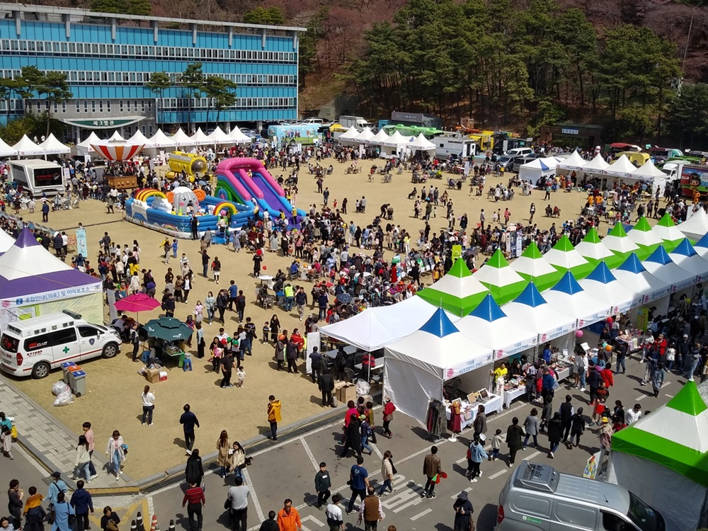 지난해 경기도청 봄꽃축제. [경기도 제공]
