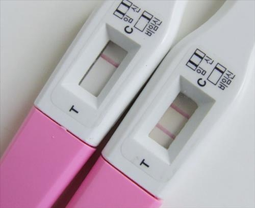 임신테스트기 [연합]