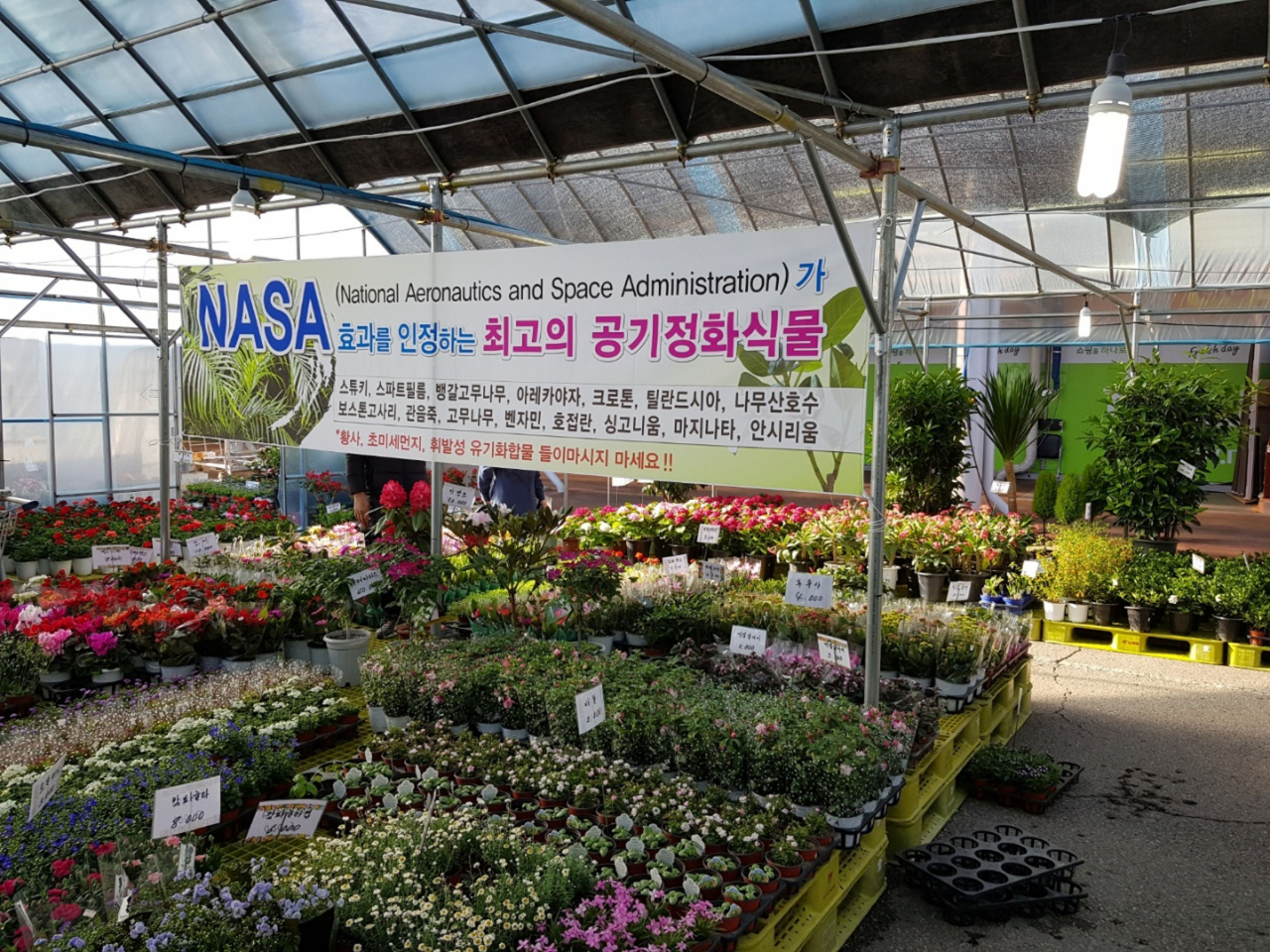 지난해 3월 구미동 성남농수산물종합유통센터 야외행사장에서 열린 화훼 직거래 장터. [성남시 제공]