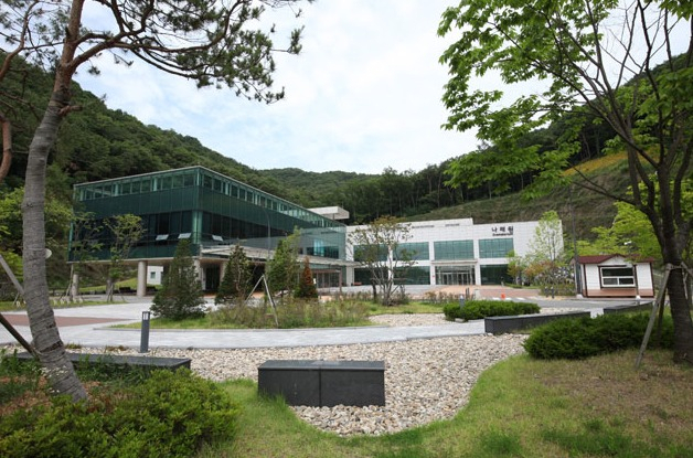 용인평온의 숲.
