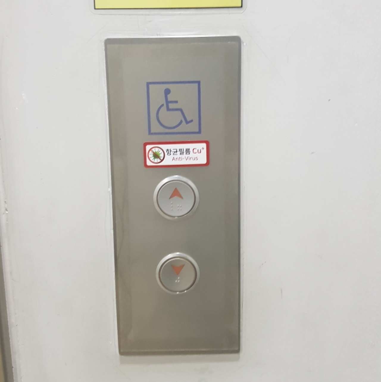 성남시 항균필름