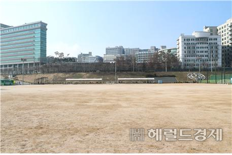자동차 극장이 설치될 살곶이 체육공원.