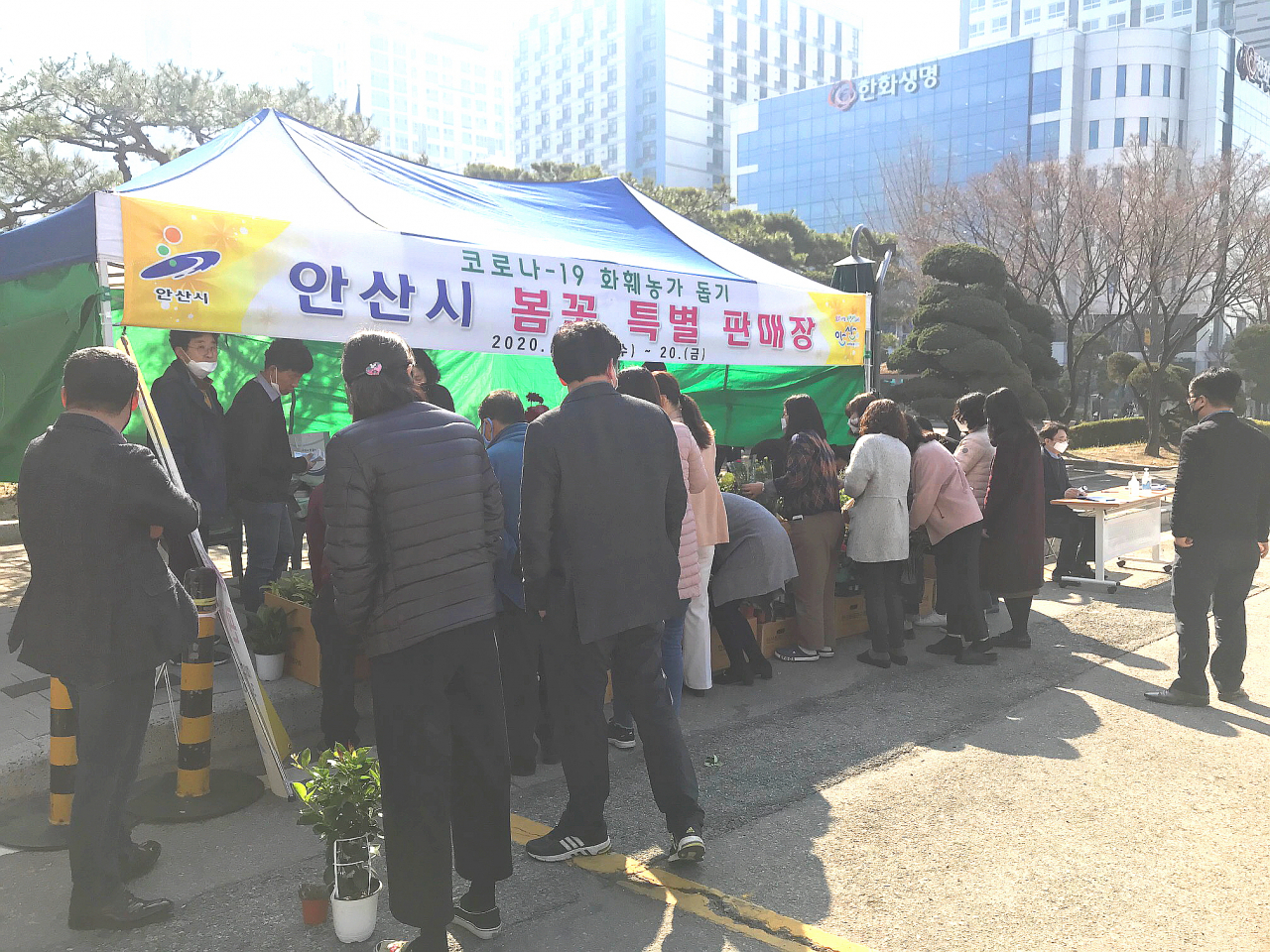 안산시는 코로나19 피해 화훼농가 돕기위해 봄꽃 특별 판매장을 운영한다. [안산시 제공]