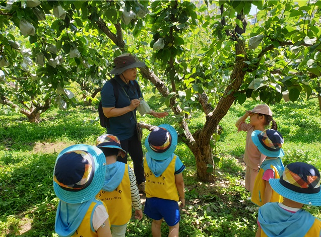 봉화산 자연체험공원에서 아이들이 배나무에 대한 강사의 설명을 듣고 있다.[중랑구 제공]
