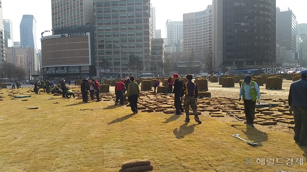 서울광장에 잔디 떼를 입히고 있는 모습. [서울시 제공]