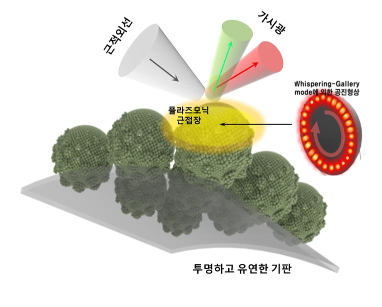 입을 수 있고 접을 수 있으며 세탁도 가능한 초고효율 파장변환 투명 광필름 모식도.[KIST 제공]