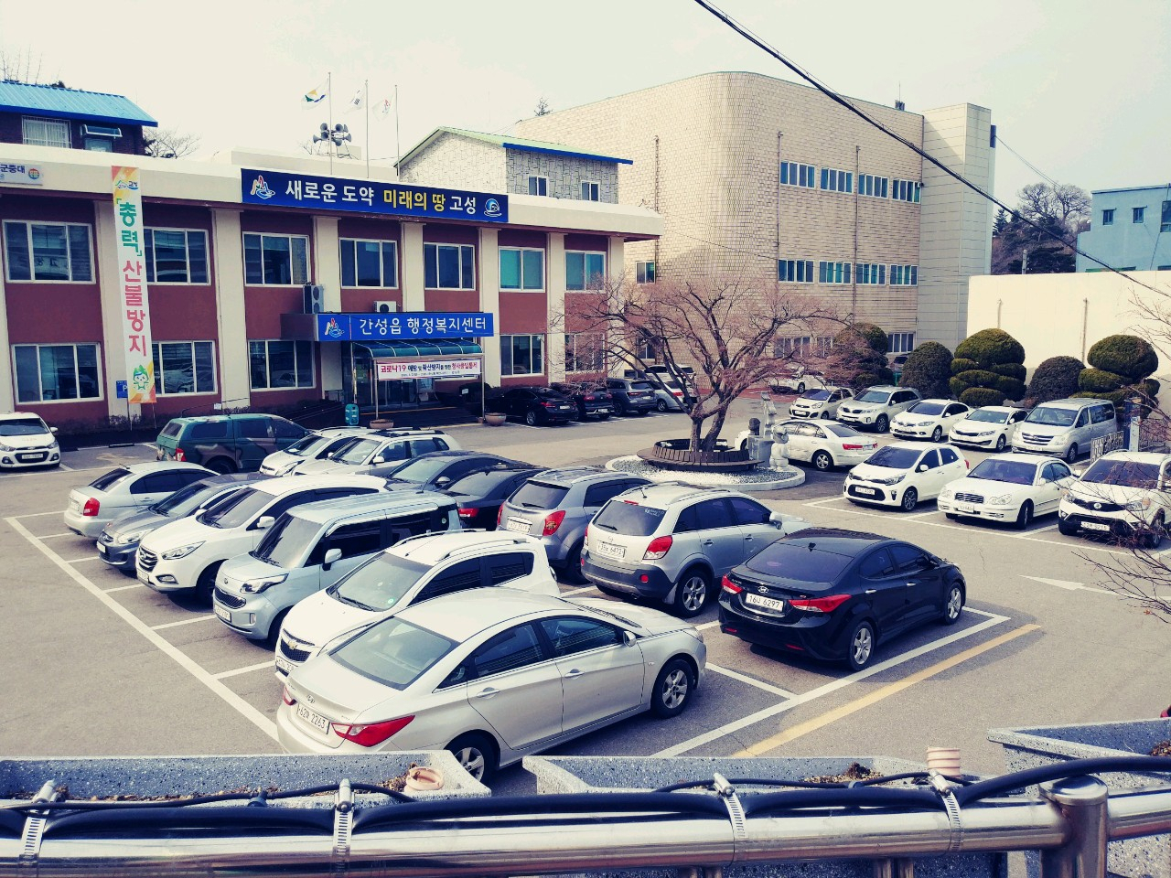 간성읍 차량2부제.
