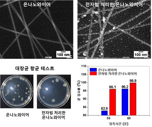 기존 은나노와이어’소재와 ‘전자빔 처리한 은나노와이어’소재의 비교 사진과(아래) 대장균 항균 테스트 결과 비교 사진(왼쪽) 및 균 감소율 결과표(오른쪽).[재료연구소 제공]