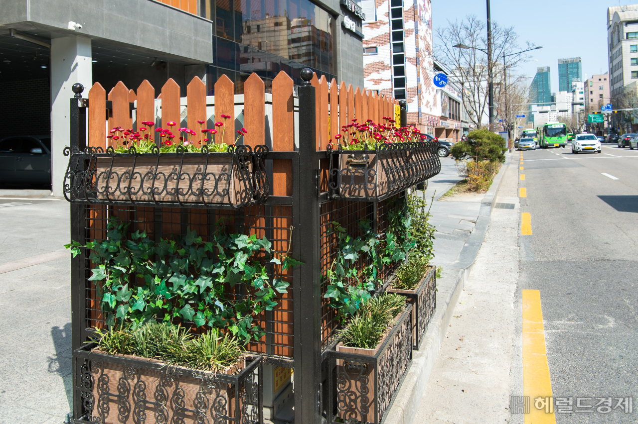 겨울을 이겨내고 봄 소식을 전하는 양천구 초록 울타리.
