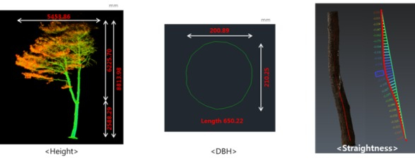 3D이미지분석(나무 개체별 키, 둘레 휘어짐 조사)