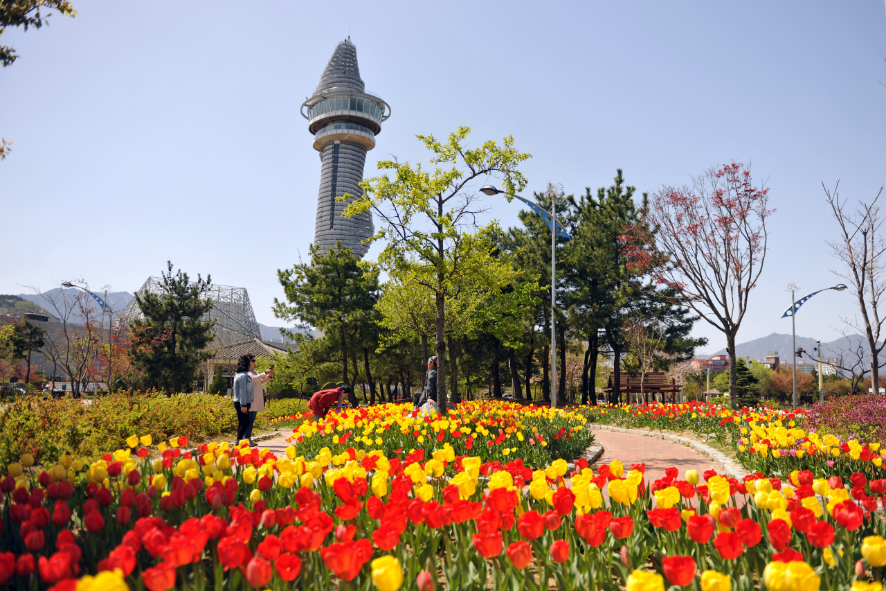 청초호 전경