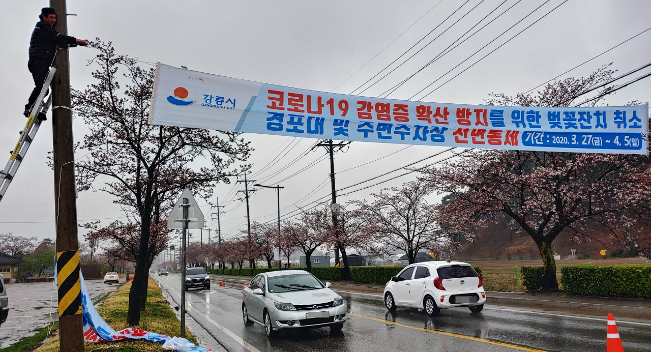 27일 오후 강원 강릉시 경포호 벚꽃길에서 올해 벚꽃 개화 기간 코로나19 확산을 막기 위해 축제를 전면 취소하고 주차장까지 통제한다는 현수막을 설치하는 작업이 진행되고 있다. [연합]