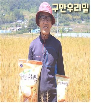 고성 구만 우리밀(사진=구만우리 밀보리쌀)