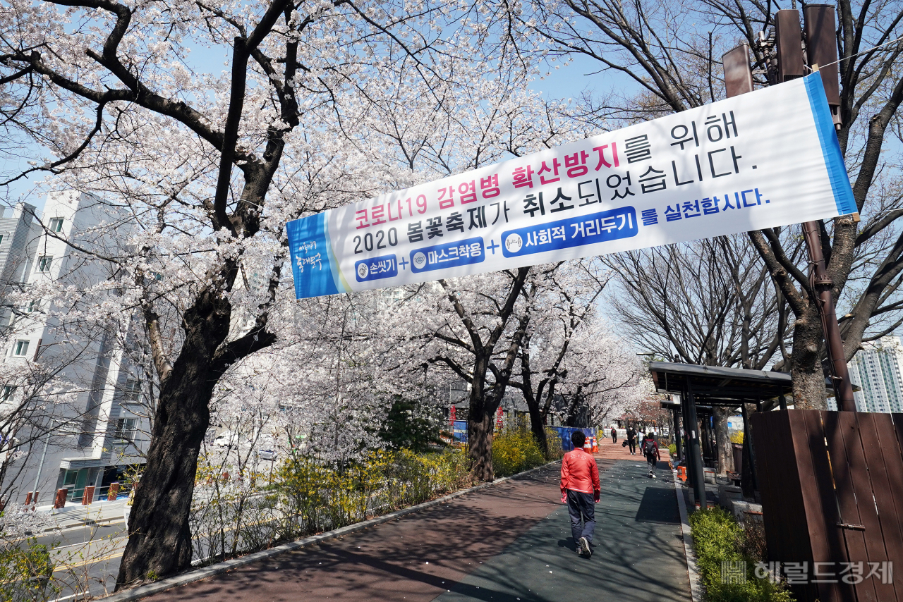 중랑천 장안벚꽃안길에 ‘2020 동대문 봄꽃축제’의 취소를 알리는 현수막이 게시돼 있다.