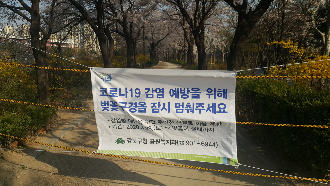 서울 강북구 우이천변 벚꽃길 입구에 입장 제한을 알리는 현수막이 걸려 있다. [강북구 제공]