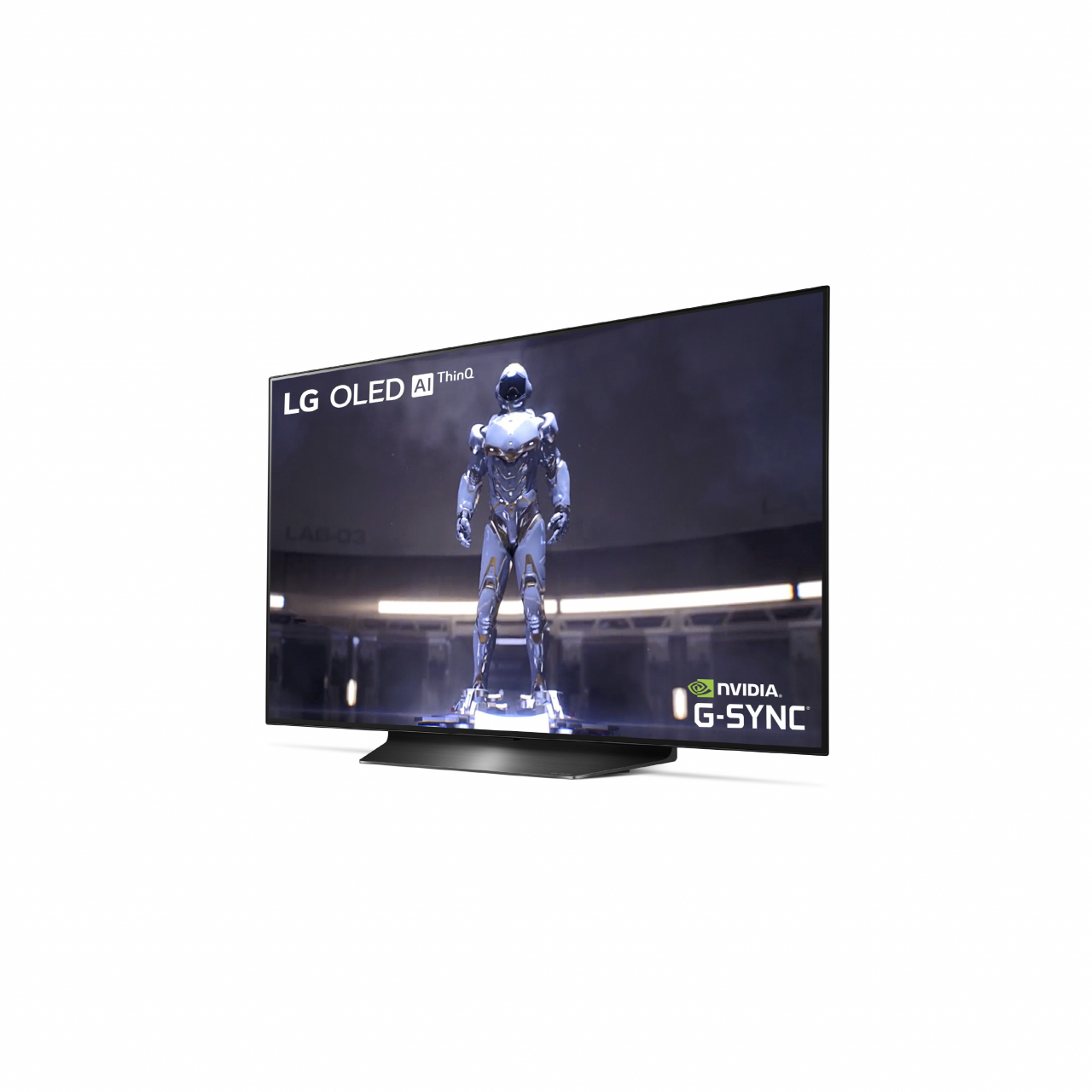 LG전자 48인치 OLED TV [LG전자 제공]
