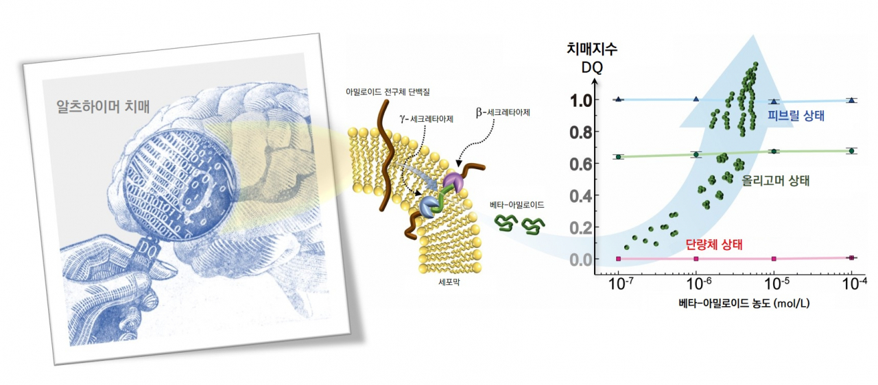 IBS 연구진이 개발한 '치매지수(DQ)'.[IBS 제공]