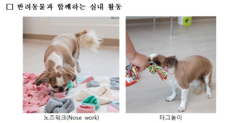 〈자료: 농촌진흥청〉