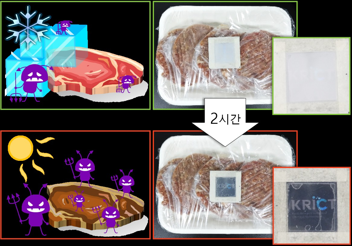 냉장고에서 꺼낸 햄버거 패티를 2시간 동안 상온에 뒀더니, 포장지에 부착된 콜드체인 안심 스티커에 이미지가 나타났다. 스티커 전면의 나노섬유 필름이 상온에 반응해 투명해진 결과, 후면 일반 필름의 이미지가 나타난 것이다.[한국화학연구원 제공]