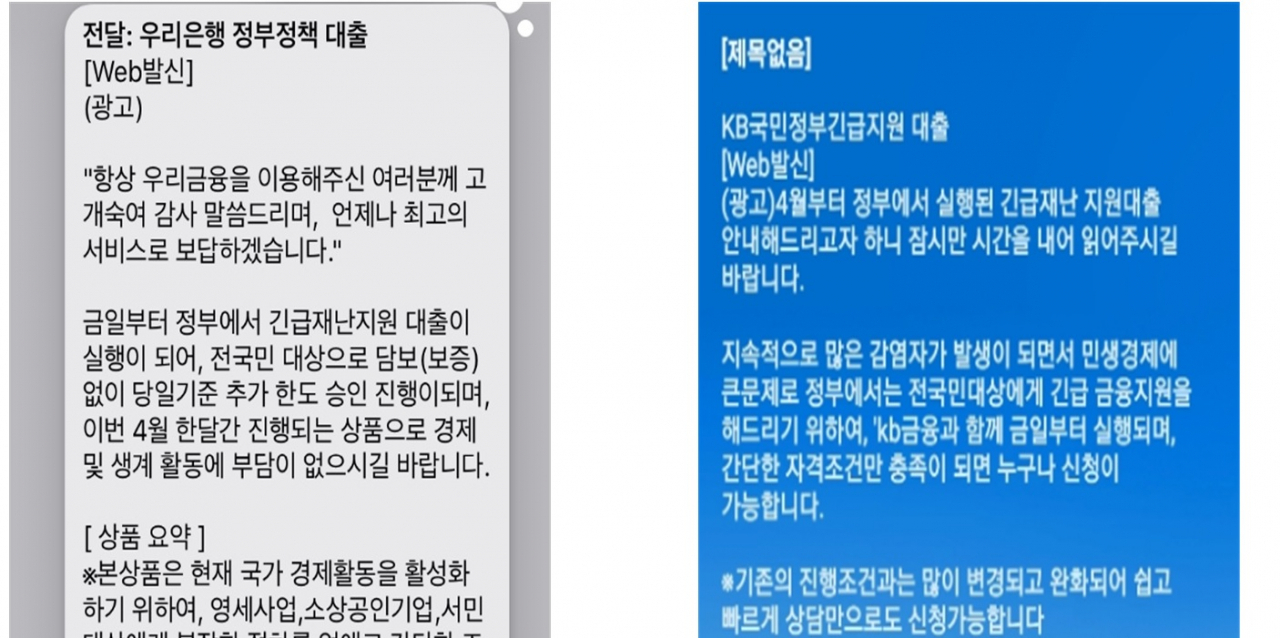 [사진=정부긴급지원대출을 가장한 보이스피싱 시도 문자메시지. 금감원 제공]