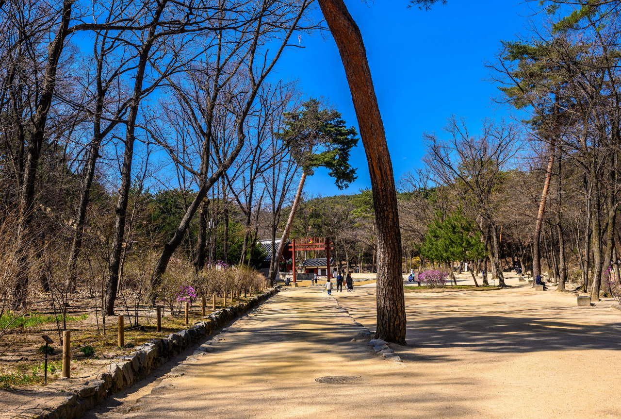 정릉초입 숲길