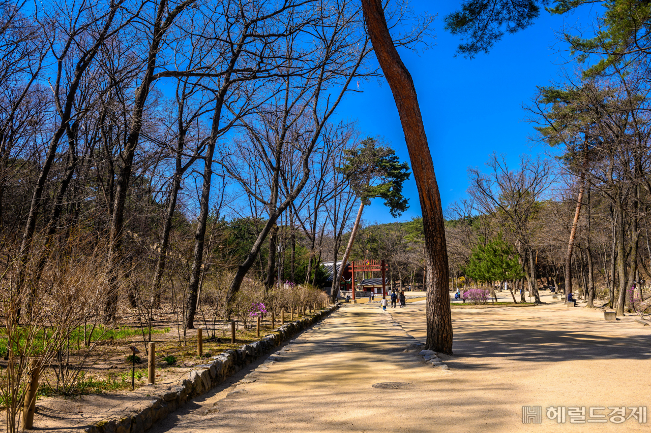 승민과 서연이 만났던 정릉 초입 숲길.