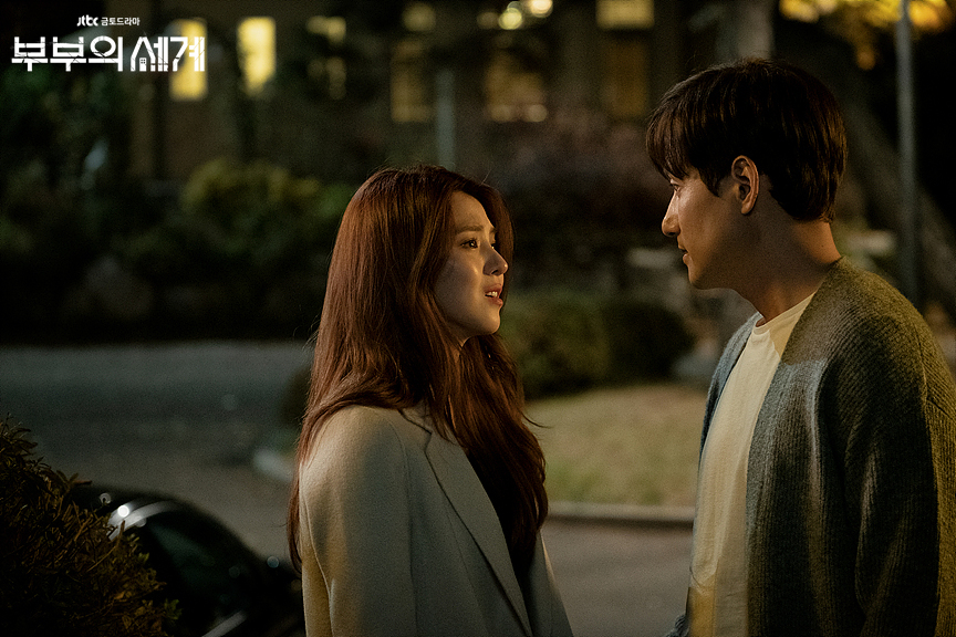 "The World of the Married" (JTBC)