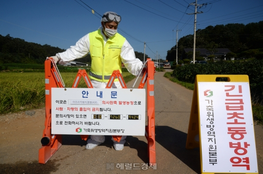 화천·철원·연천 멧돼지 아프리카돼지열병 12건 추가 확진