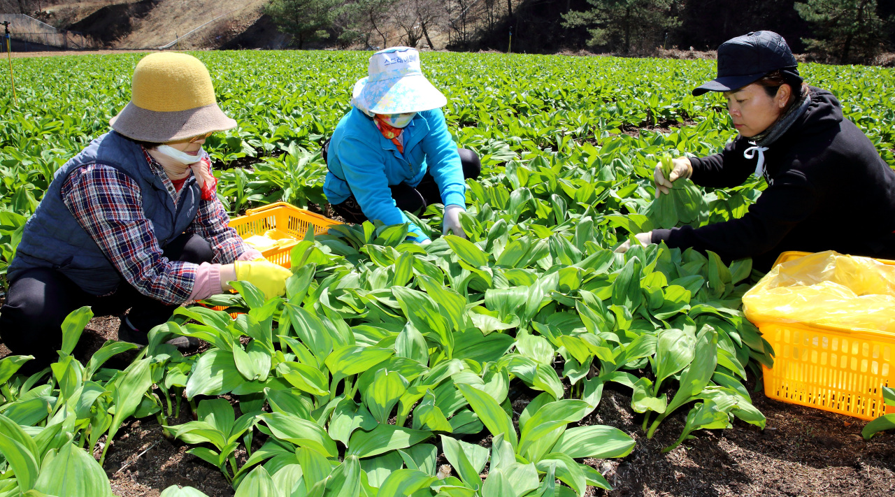 A campaign was launched April 2 at a producer-consumer outlet in Gangnam, southern Seoul, to support eco-friendly farms that normally supply schools but are now struggling to stay afloat because of school closures. (Yonhap)