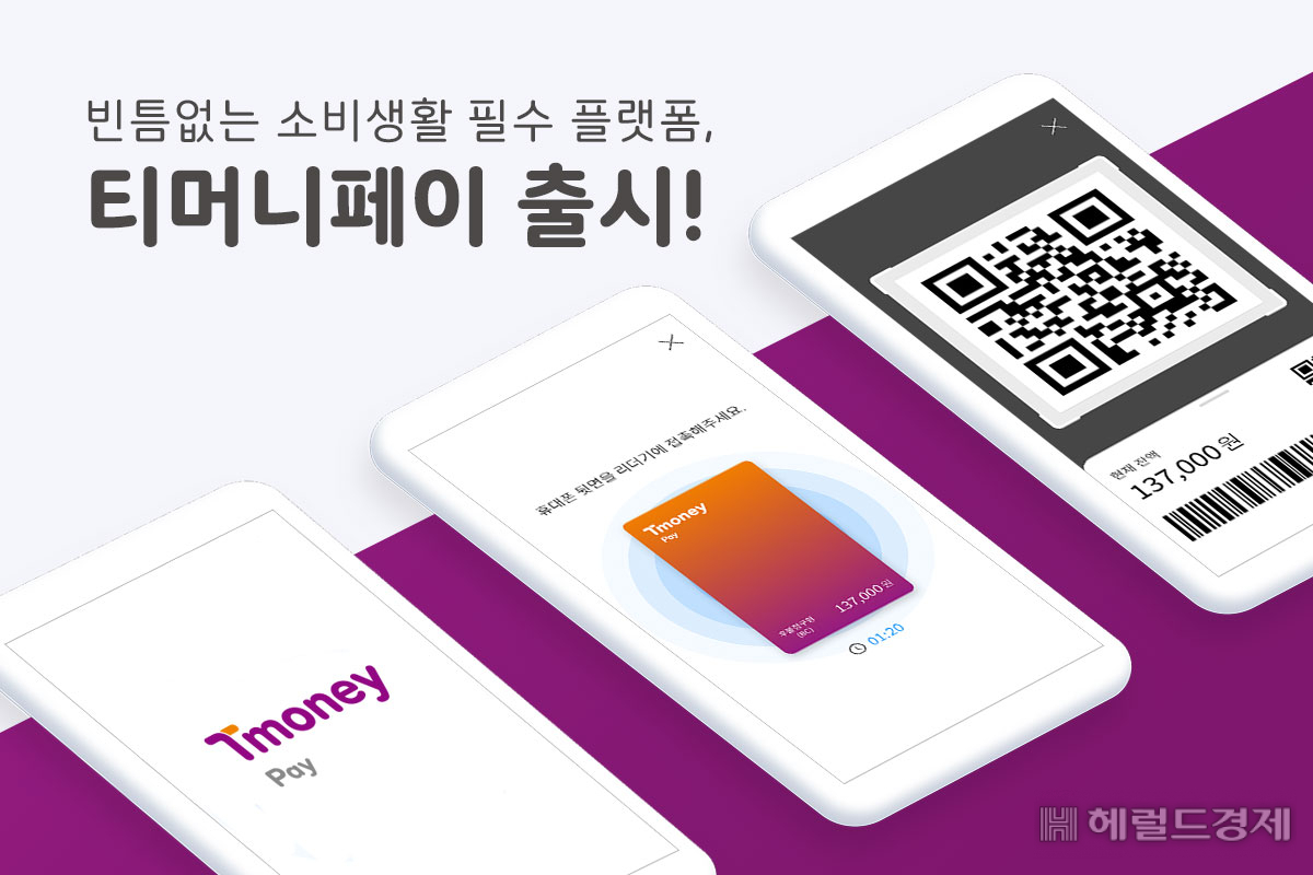 티머니 페이