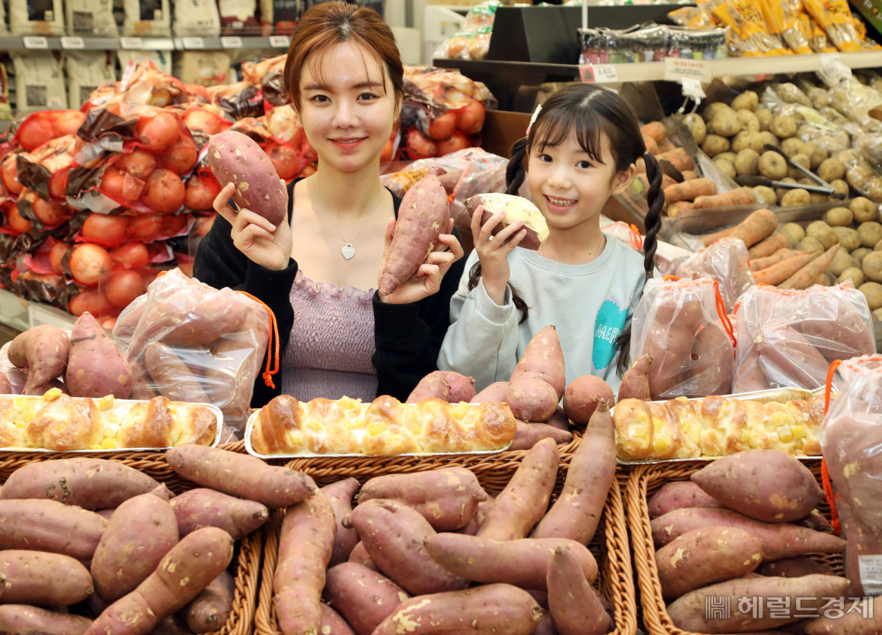 [이마트 제공]