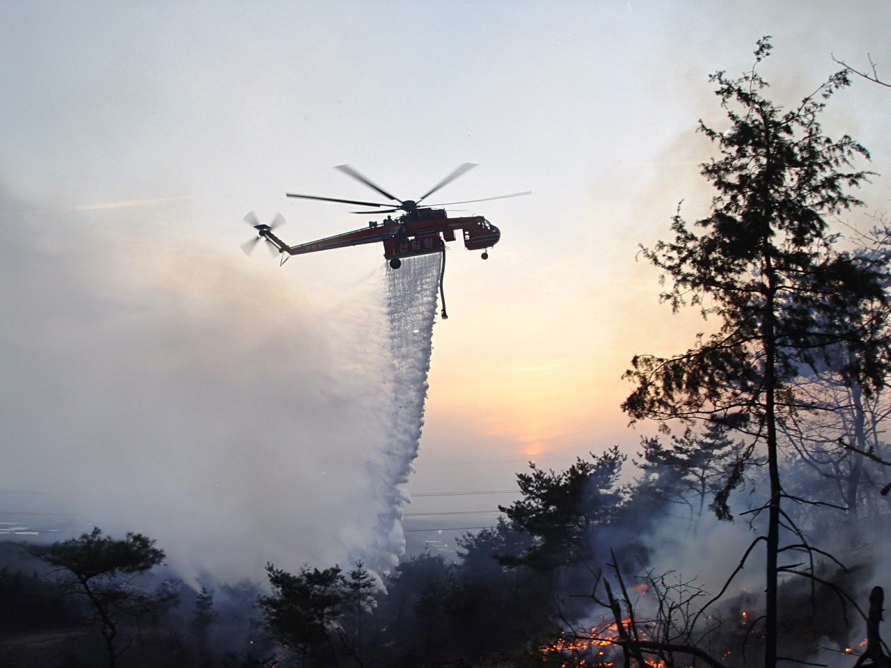 안동에서 산불 진화 작업을 하고 있는 소방 헬기 모습.[산림청 제공]