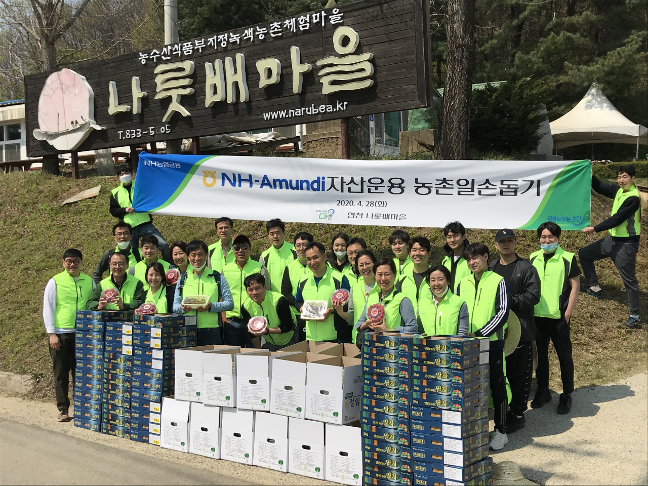 NH-Amundi자산운용 임직원들은 28일 경기도 연천 나룻배마을 농가에서 농촌 일손돕기를 실시했다.[NH-Amundi자산운용 제공]