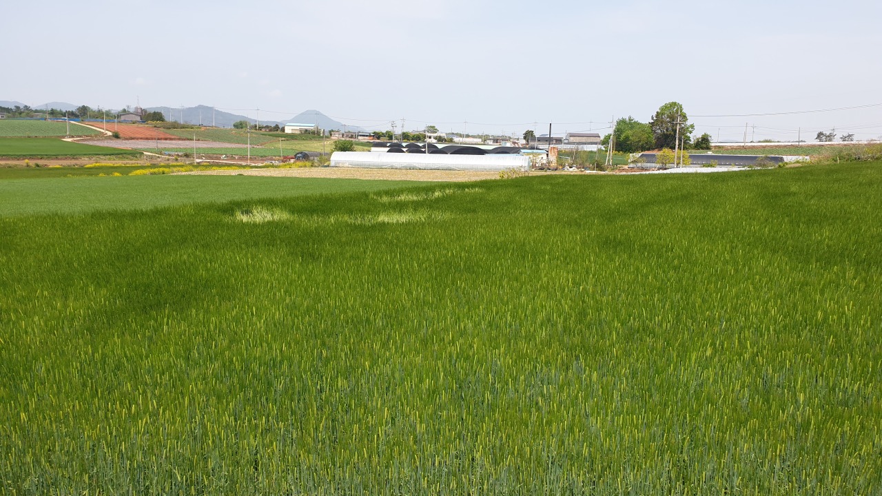 (연합뉴스)