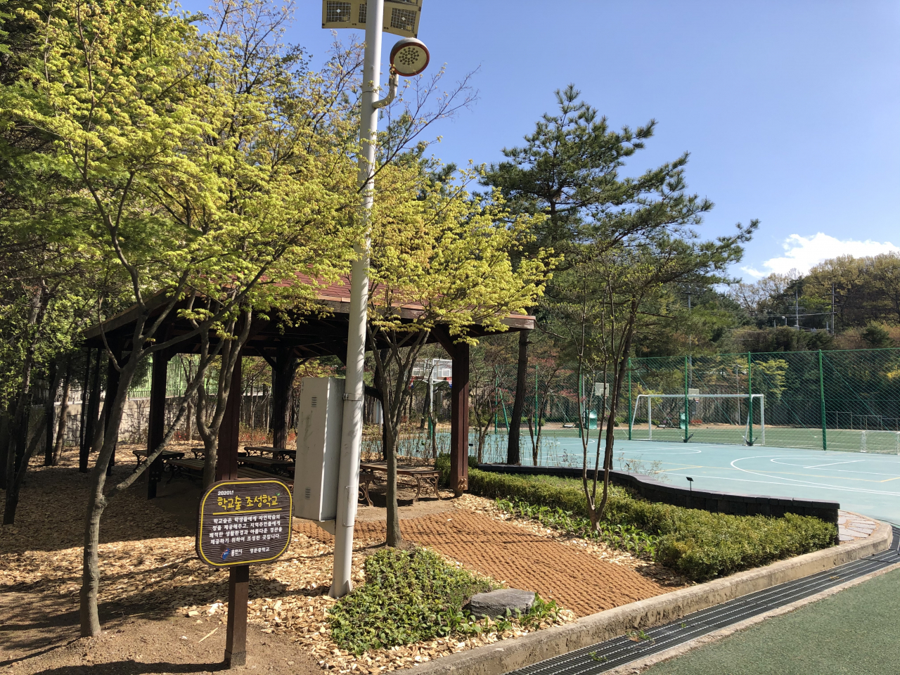 처인구 포곡읍 영문중학교 내 조성된 '학교숲'. [용인시 제공]