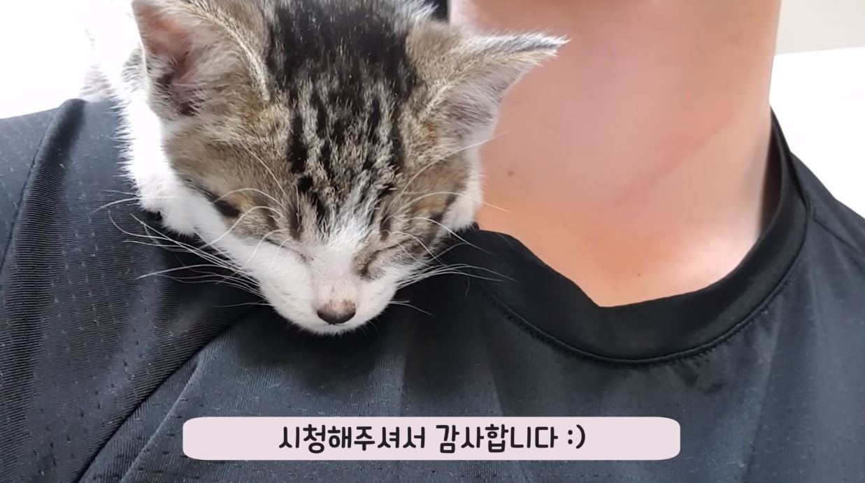 (Screen capture from YouTube channel Gabsupasture)