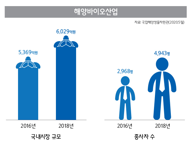 국내 해양바이오산업 통계 인포그래픽.[국립해양생물자원관 제공]