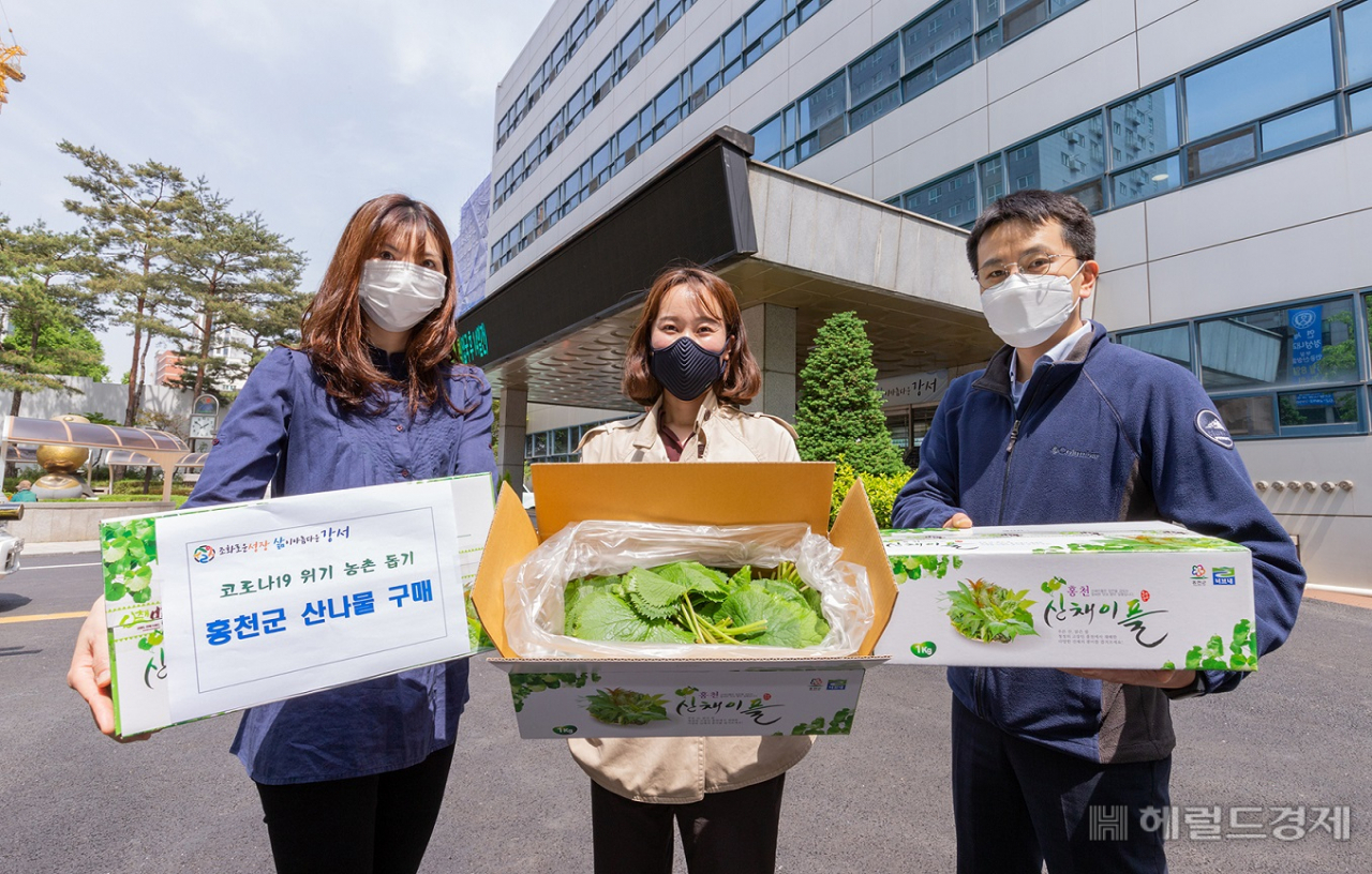 서울 강서구가 코로나 19로 산나물 판매에 어려움을 겪고 있는 농가를 위해 홍천군에서 곰취 270kg을 매입해 코로나 19 방역 관계자들에게 지급한다.